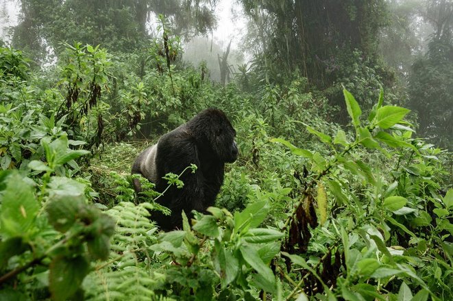 tourhub | Wildlife Tours Crowdriff Gallery