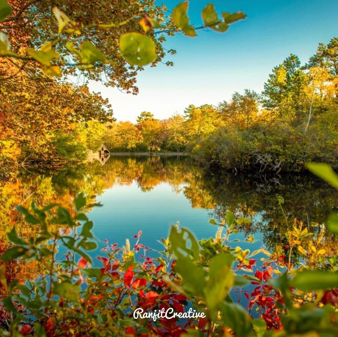Today is first day of this 🍂. This was taken last year. Looking forward to capture many exciting Autumn landscape..
.
.
.
.

#autumn #nature #fall #photography #love #winter #naturephotography #autumnvibes #photooftheday #travel #landscape #instagood #fall #halloween #newyork #beautiful #picoftheday #photo #october #art #autumnleaves #summer #leaves #autumncolors #sunset #instagram #like #o #naturelovers #newyorkfall