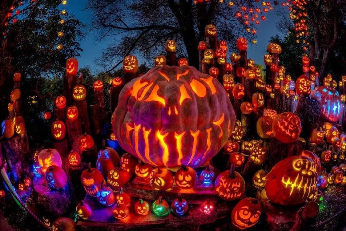 ハロウィン ゴースト ランプ Jack-O-Lantern Spectacular at the Roger Williams Park Zoo