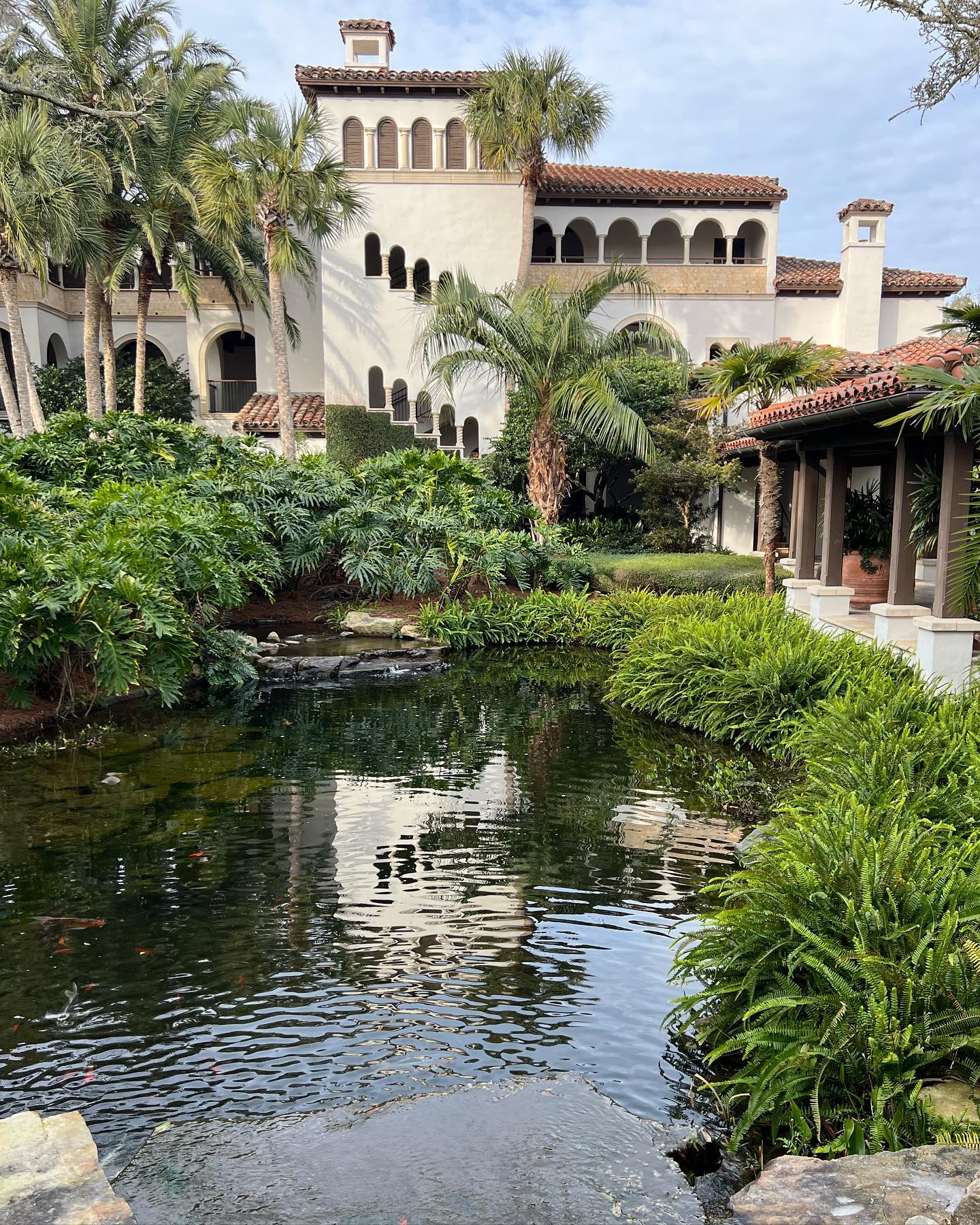 Garden Garden