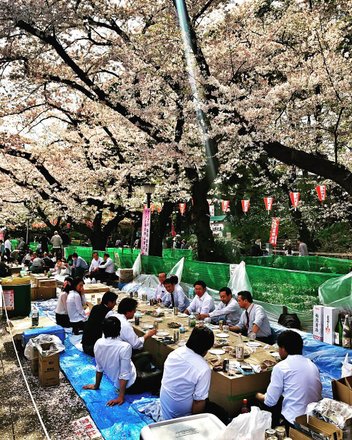 tourhub | Japanese Cherry Blossom Crowdriff Gallery