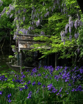 tourhub | Ryoan-ji Zen Garden Crowdriff Gallery