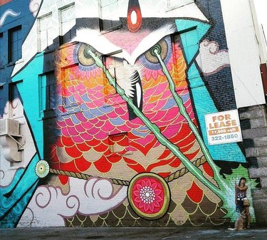 What’s cooler than sharks with frickin’ laser beams attached to their heads? A wizard owl that can shoot frickin’ laser beams from its eyes. Don’t @ us. 🦉⚡️💯
•••
🎨: @anthony_n_ortega
📷: @lwz_reno
📍: E. 2nd Street in @RenoTahoe between @myntcann and Doc Holliday’s
.
.
.
#TravelNevada #RenoTahoe #NevadaArt #StreetMural #RenoArt #OnlyInNevada #NV #StreetArt #RenoIsRad