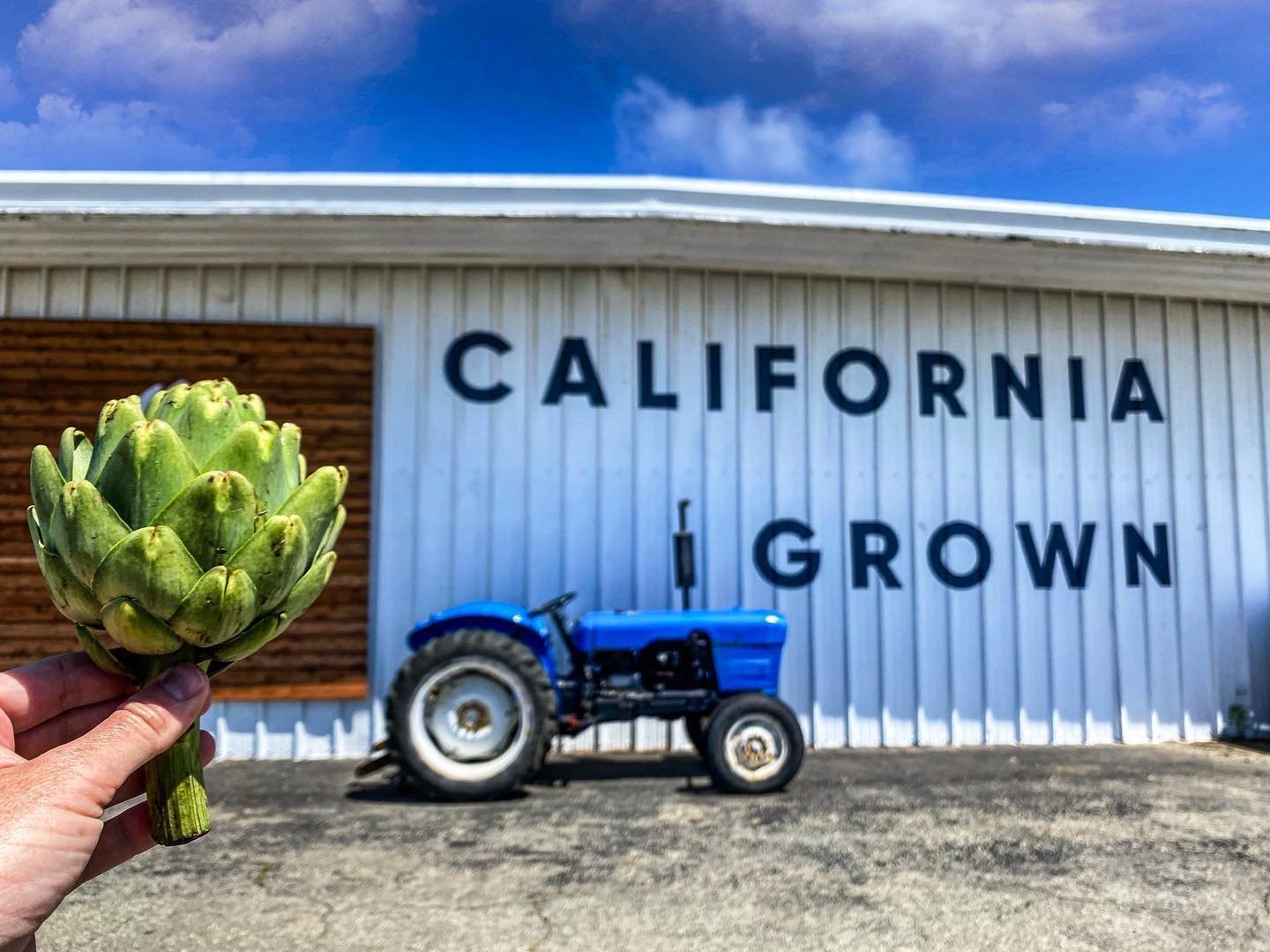 Photo by user seemonterey, caption reads Did you know that the artichoke is the official California state vegetable? Happy National Artichoke Day from Monterey County's very own Artichoke Capital of the World! 💚 #SeeMonterey

Visit @The_Giant_Artichoke and @PezziniFarms in Castroville for your artichoke fix!

Photo by @1977mph
📌 Castroville @CityofCastroville_CA