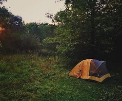 Stephens State Forest photo 5