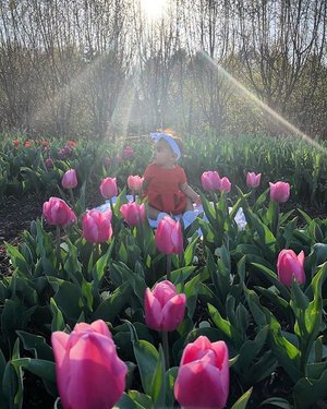 A child sits among vibrant pink tulips in a sunlit garden, surrounded by greenery and soft sunlight filtering through trees.