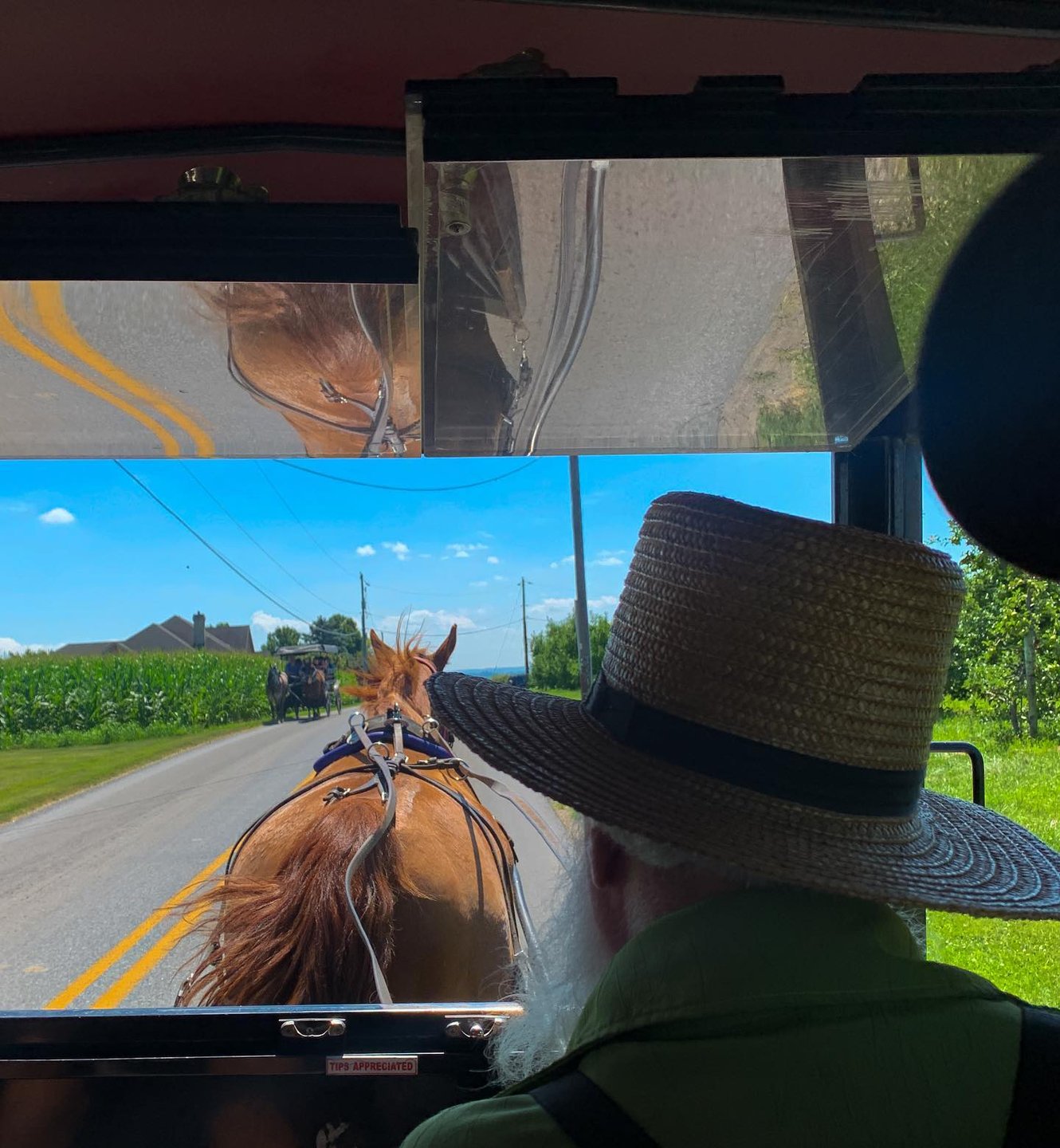 Photo by user davidtheexcellent, caption reads I've been spending most my of life, living in an Amish paradise.
#usa #pennsylvania #birdinhand #lancaster #amish #buggy
