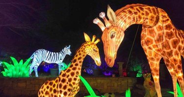 Glow Festival 2026 MN - Spectacular Light Show