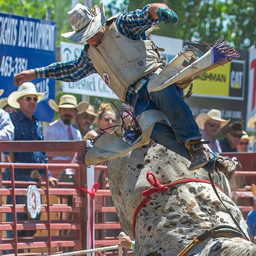 219 days until @nightinthecountry 2020 (Yes I said 2020 because we were robbed and didn’t get to have it hahahahah ok ok 2021) 
EXTREME BULL RIDING
———————————————
©Brand 34 Photography
#brand34photography
W: Brand34photography.com 
FB: Facebook.com/Brand34Photography
E: Brand.34.photography@gmail.com ———————34———————
#action #daretobeacowboy #NITC2019 #nightinthecountry #nitc2019 #nightinthecountry2019 #rodeo #roughriders #bullriding #rankbulls #cowboy #cowboytuff #cowboyfresh #rodeolife #8seconds #buckingbull #rodeotime #rodeoready #cowboyup #bullrider #buckingbulls #buckinghorse #rodeophotography #extremebulls #rodeophotographer #rodeoriderslove #iloverodeoriders_4m ————————————————-
A few of the sponsors;
 @western_skies_rv @periandsons @coorslight @northernnevadatoyotas @kbul981 @quickspacenevada @western_skies_rv @nevadafreshpak @pepsi @amerigenpower @camelotpartyrentals @westernnevadasupply @fireballwhisky @unitedsiteservices @quickspacenevada @sierraelectronics @alloutcompanies @huntleymotorworld @renoaces @homemeans_nv @syscoriverside @cashmanequipment @mpminingplus @herc_rentals @tahoeheartbeat @pbr 
just to name a few.