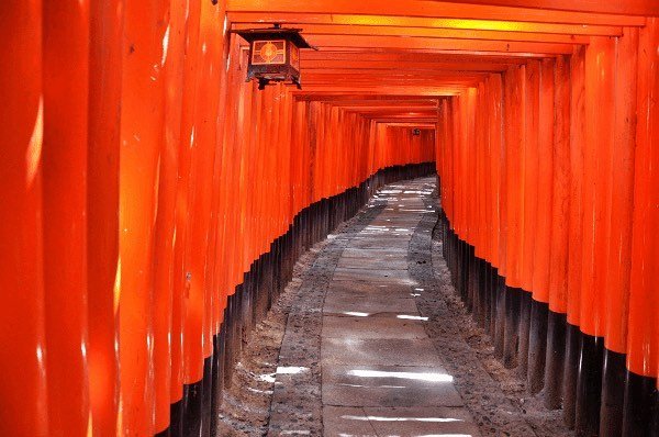 tourhub | Fushimi Inari Crowdriff Gallery