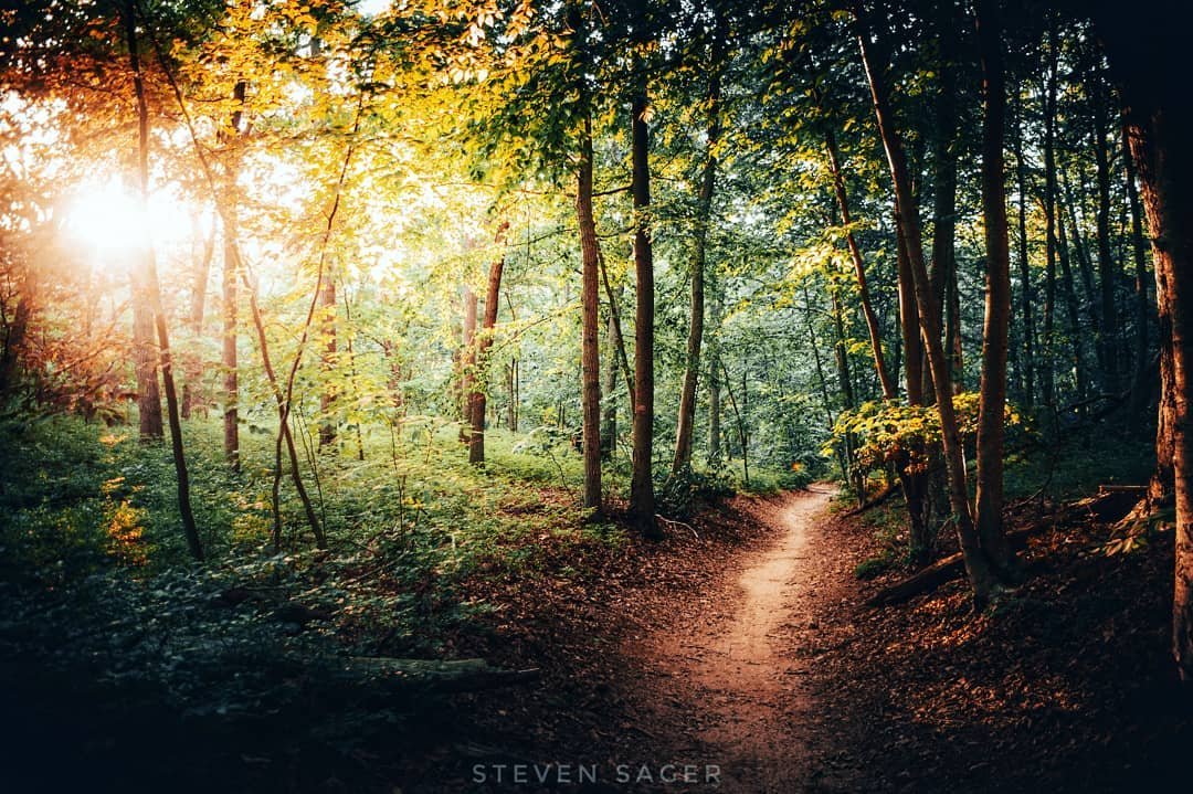 #scenicroute #loveadventure #greatoutdoors #adventurelover #longisland #newyork #liny #MTB #cozy  #adventurealways #adventurelife #forest #goals #islandofadventure #igcolor #wanderlust #travel #folk #warm #woods #folkart