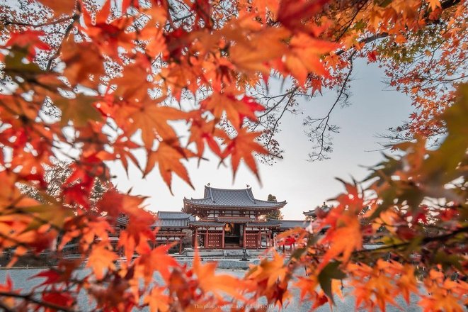 tourhub | Autumn Colours in Japan Tours