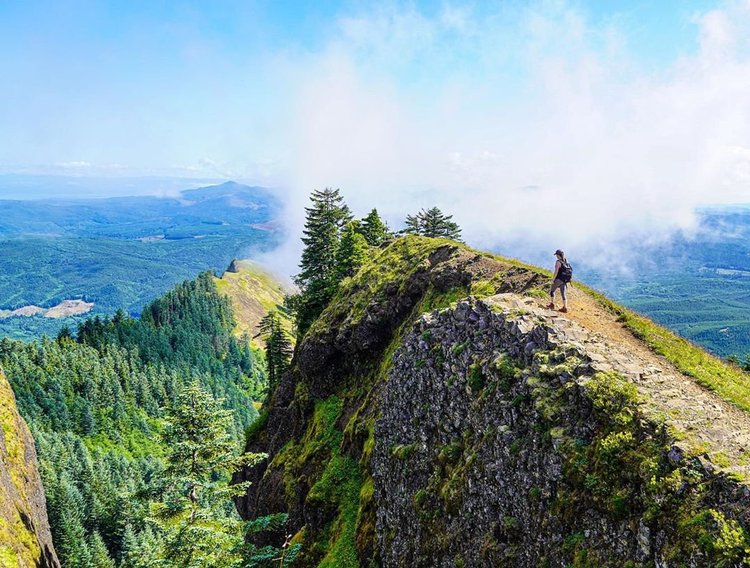 Saddle Mountain State Natural Area - Oregon State Parks