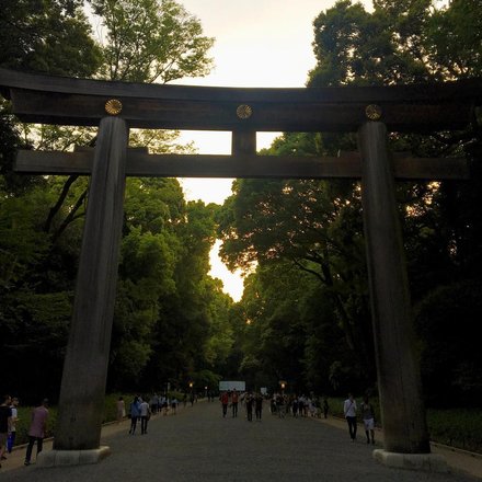 tourhub | Meiji Jingu Shrine Crowdriff Gallery