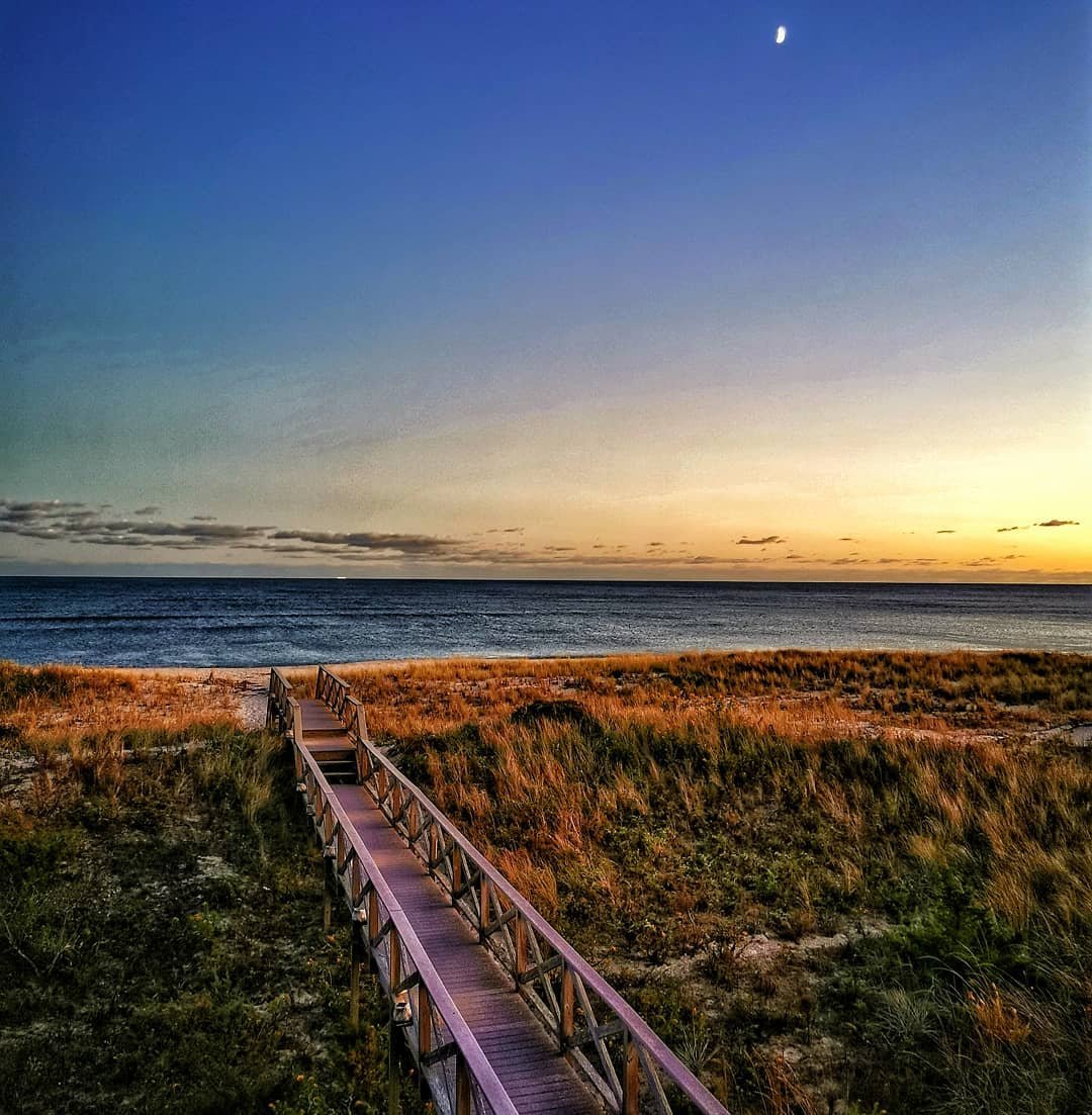 Hamptons

#hamptons #dunes #sunset #beach #tranquility