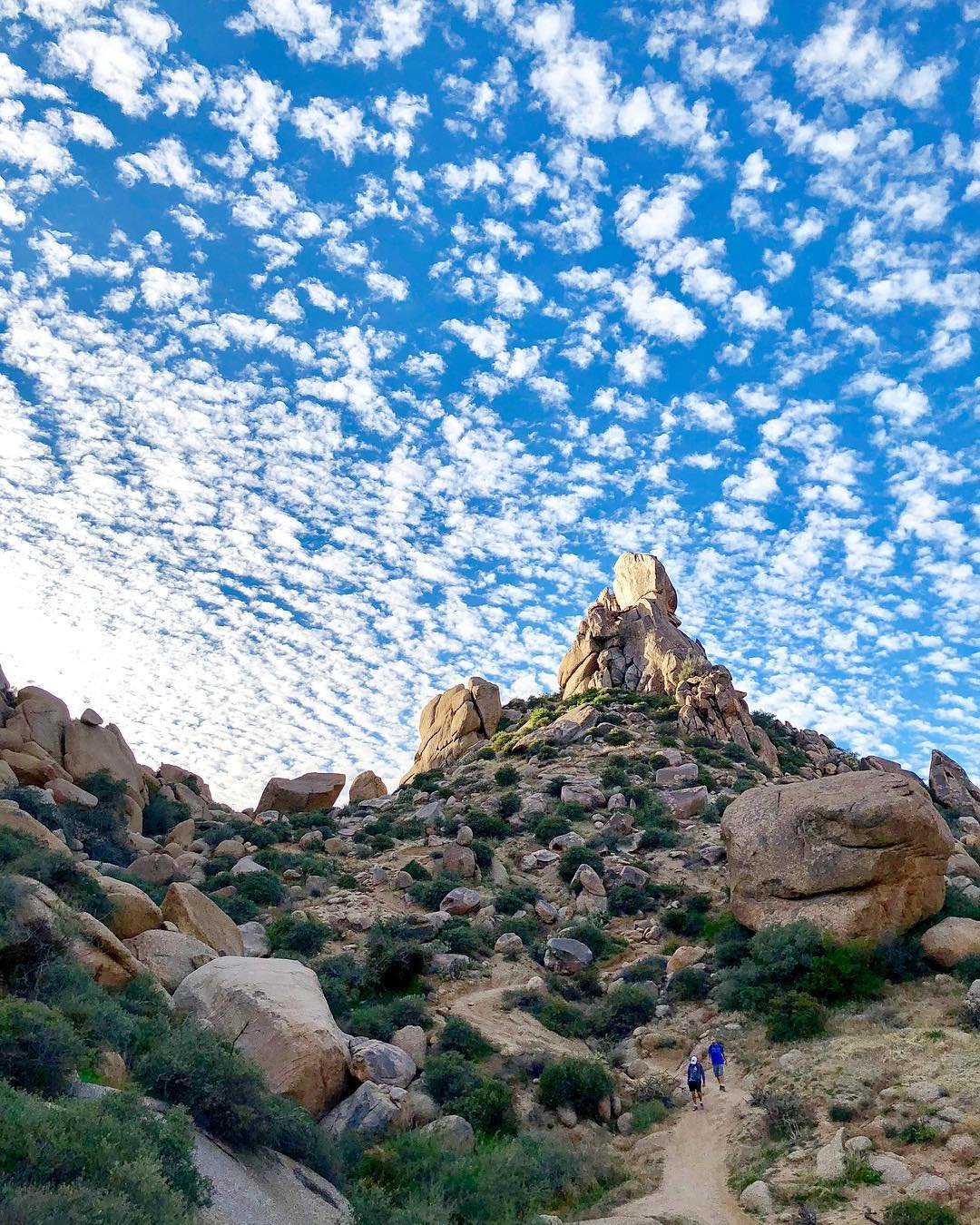 Photo by user drnaylin, caption reads Clouds at Tom's thumb trail #clouds #cotton #cloudparade #tomsthumb #cottoncloud #hikingaz #hiking #azhiking #bluesky #naturephotography #outdoorphotography #scottsdale #arizona