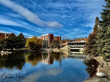 Exploring the University of Nevada Reno campus for the first time. Always something special about discovering a college campus. 
.
.
.
.
.
.
.
.
#Reno #NevadaLife
#RenoisRad #biggestlittlecity #travelnevada #sparksnv #renolens #renotahoe #ThisIsReno #Escape2Reno #RenoNevada #NorthernNevada #DiscoverNevada #NevadaNature #RenoPhotography #CityofReno #RenoLife #VisitReno #thisisreno #showmeyourcity #unr #unevedareno #collegelife #collegecampus #collegeready #landscapephotography #landscapes #showmeyourcity