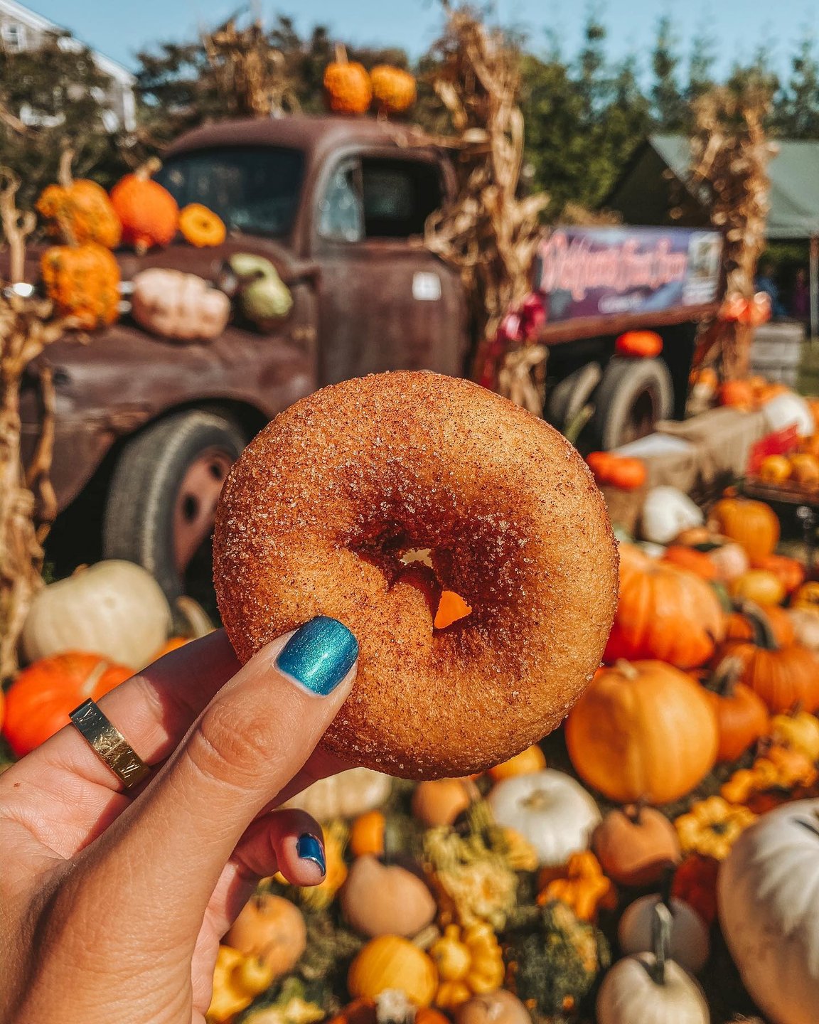 It’s finally feeling like fall & I couldn’t be happier.🍂 Spent the day at Wickham’s Fruit Farm! 🍩🍎