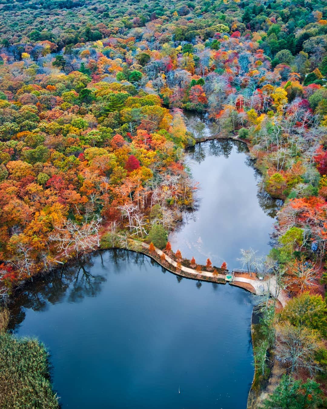 Fruity Pebbles. Finally found some nice color on Long Island this weekend 🍁
.
.
.
.
.
.
.
.
.
.
.
#djimavicair2 #fall #bayardcuttingarboretum #foilage #fromwhereidrone #droneaddicts #djicreator
#all2epic #iloveny
#longisland #newyork #moodygrams5k #artofvisuals #illgrammers #heatercentral #droneoftheday #aerialphotography #milliondollarvisuals #visualambassadors #djiglobal #droneofficial #agameoftones #drone #dji #colorful #discoverlongisland #agameofdrones #createcommune #polarpro