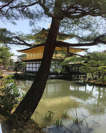 tourhub | Kinkaku-ji (golden pavilion) Tours