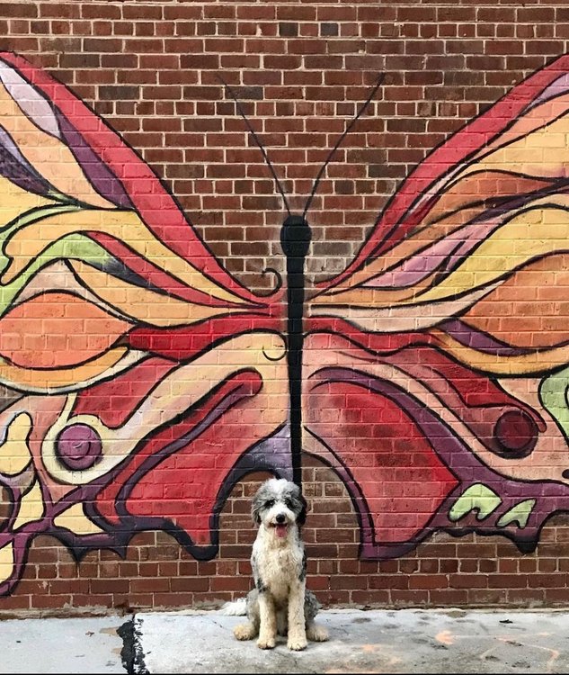 Mural Trail Archive - Visit Kingsport