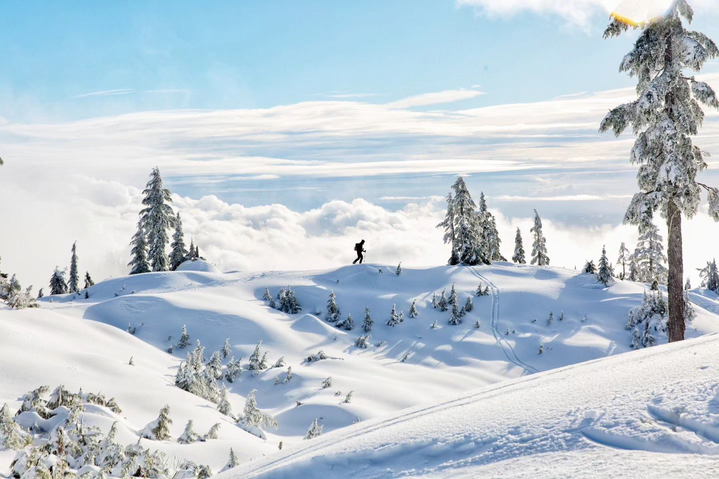 photo by Rory Coomey caption reads: ...Follow your own path by creating your own journey...