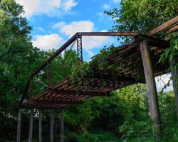 Stephens State Forest photo 4