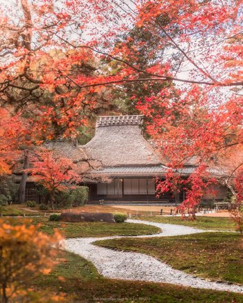 tourhub | Japanese Autumn Colours Crowdriff Gallery