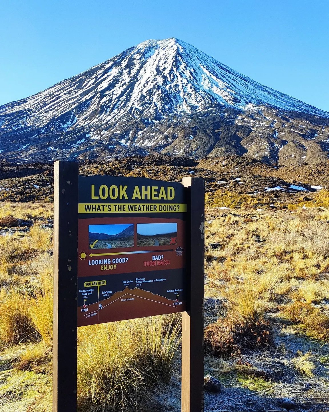 A weather information sign stands in the foreground, with a snow-capped mountain in the background. The landscape features grassy terrain and clear blue skies.