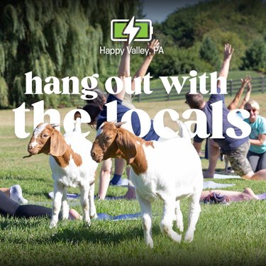 Two goats graze in a grassy field while people practice yoga in the background. Text overlay reads, "hang out with the locals." Happy Valley, PA.