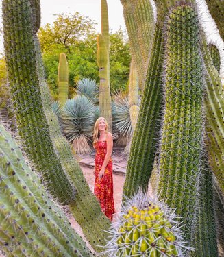 Greater Phoenix, AZ Gardens | Botanical Gardens & Arboretums