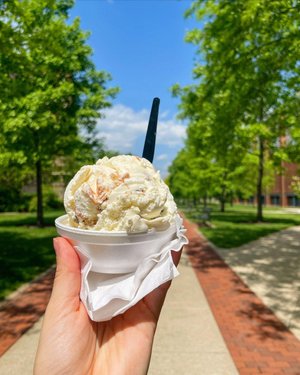 A hand holds a cup of ice cream with a black spoon, set against a tree-lined pathway under a blue sky. Sunlight filters through the leaves.