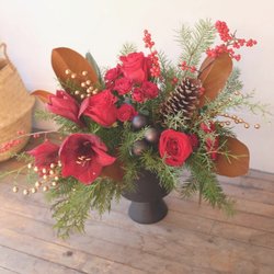 Photo by greenpetalflowers, caption reads: “Mulled Wine”  Classy, with a bit of spice- she’s sure to warm up any home!
Order online www.thegreenpetal.ca or call 250.423.4486

#fernie #ferniestoke #downtownfernie #christmasinfernie #kootenaybabe #christmasinthemountains #christmasflowers #amaryllis