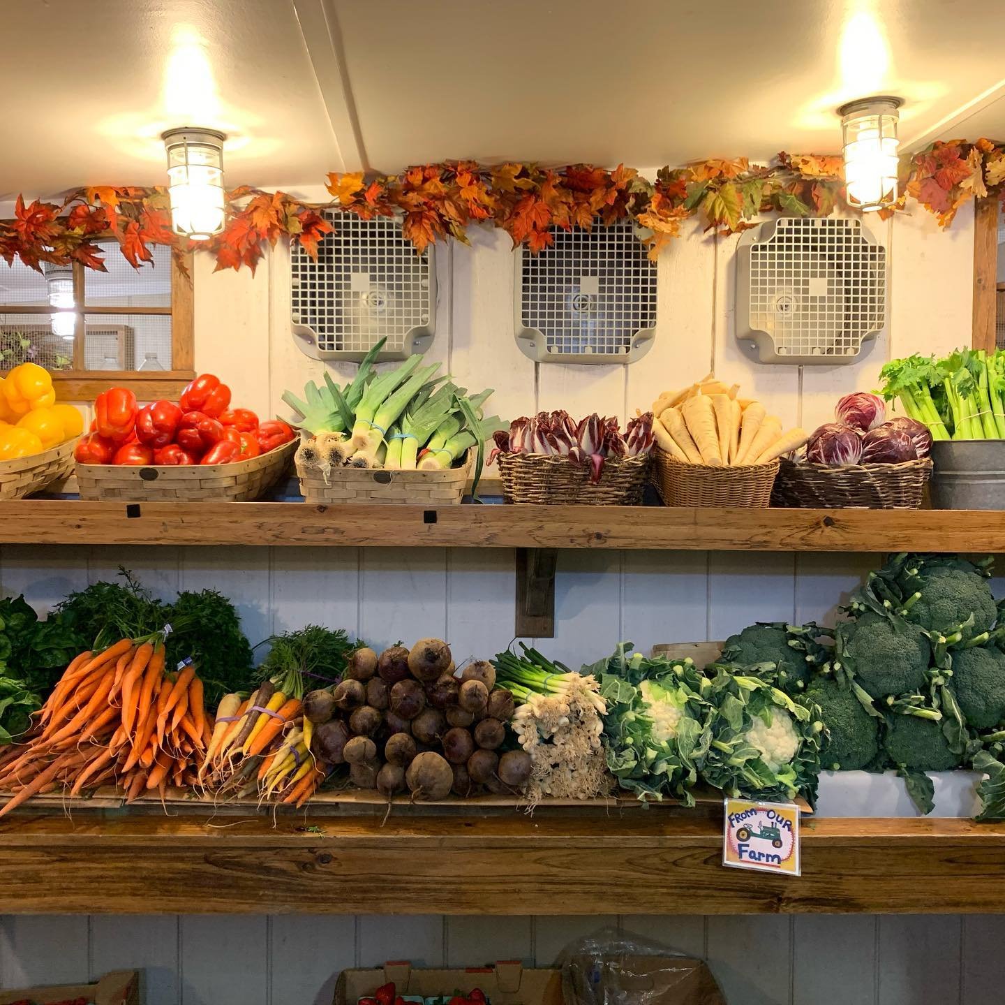 Re-cap of my trip to all of my favorite farm stands today! Make sure your shopping locally and eating the rainbow! Stay tuned to find out what I will be making tonight for dinner! #nycteenchef #eattherainbow #locallysourced #farmstands #sustainability #eatlocallygrown #reducecarbonemissions #fallfoods #hamptonsmagazine #hamptons  #roundswampfarm #popbabiesamz #fruitsandveggies
