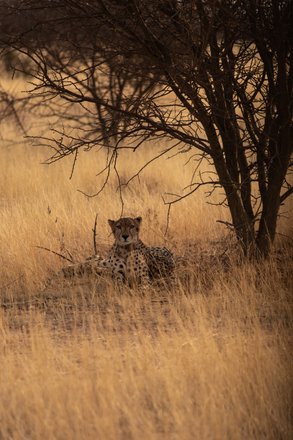 tourhub | Safari Tours Crowdriff Gallery