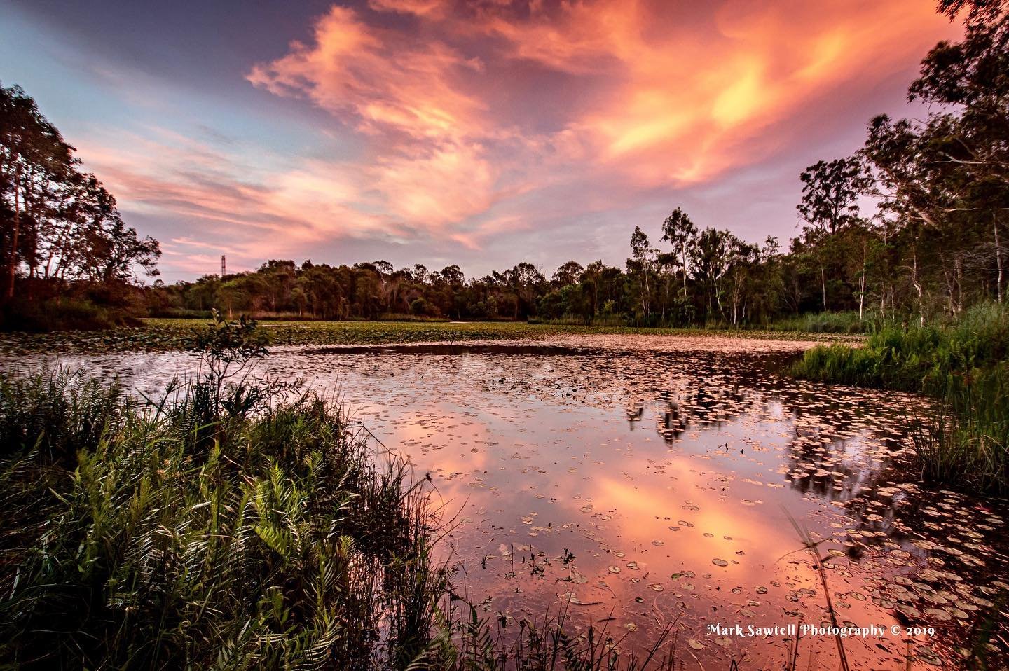 Logan Reserve, Queensland
