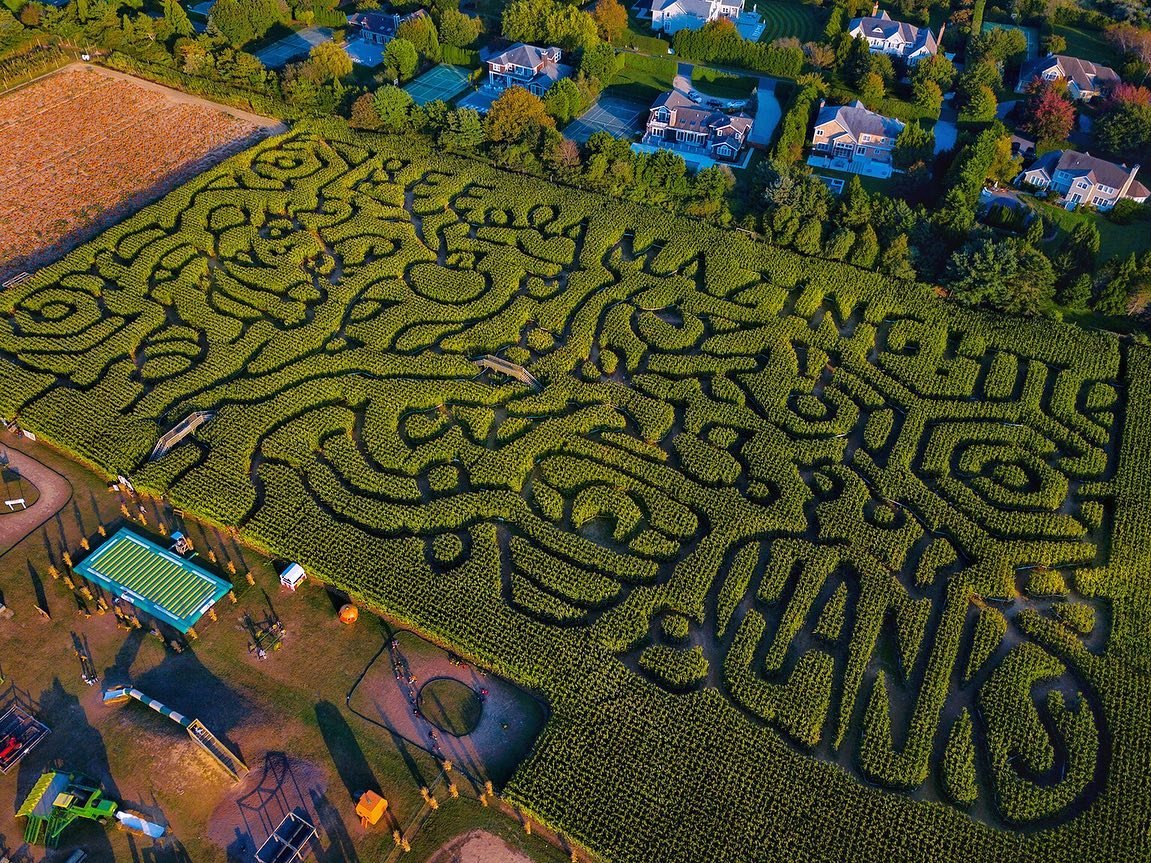 A fantastic corn maze at Hanks pumpkintown in WATER MILL, NY. According to their website, they cut the corn using GPS guidance for their tractor ( just like my drone)... see the 2nd pic for the actual design. This looks like quite a maze and would be a lot of fun to work through. Click on their link for hours and admission. .
.
.
.
.
.#bubbaclicks bclixs_drone 
#droneoftheday #photooftheday #pumpkins  #pumpkinspice # pumkingarm #farm #farmstand #pumkinpatch #farmer #cornmaze  #visualoflife  #exploretocreate  #ig_masterpiece  #gameofdrones  #explore #exploreeverything  #shotondji  #primeshots  #exploretocreate #dronenature  #skypixel #djiglobal