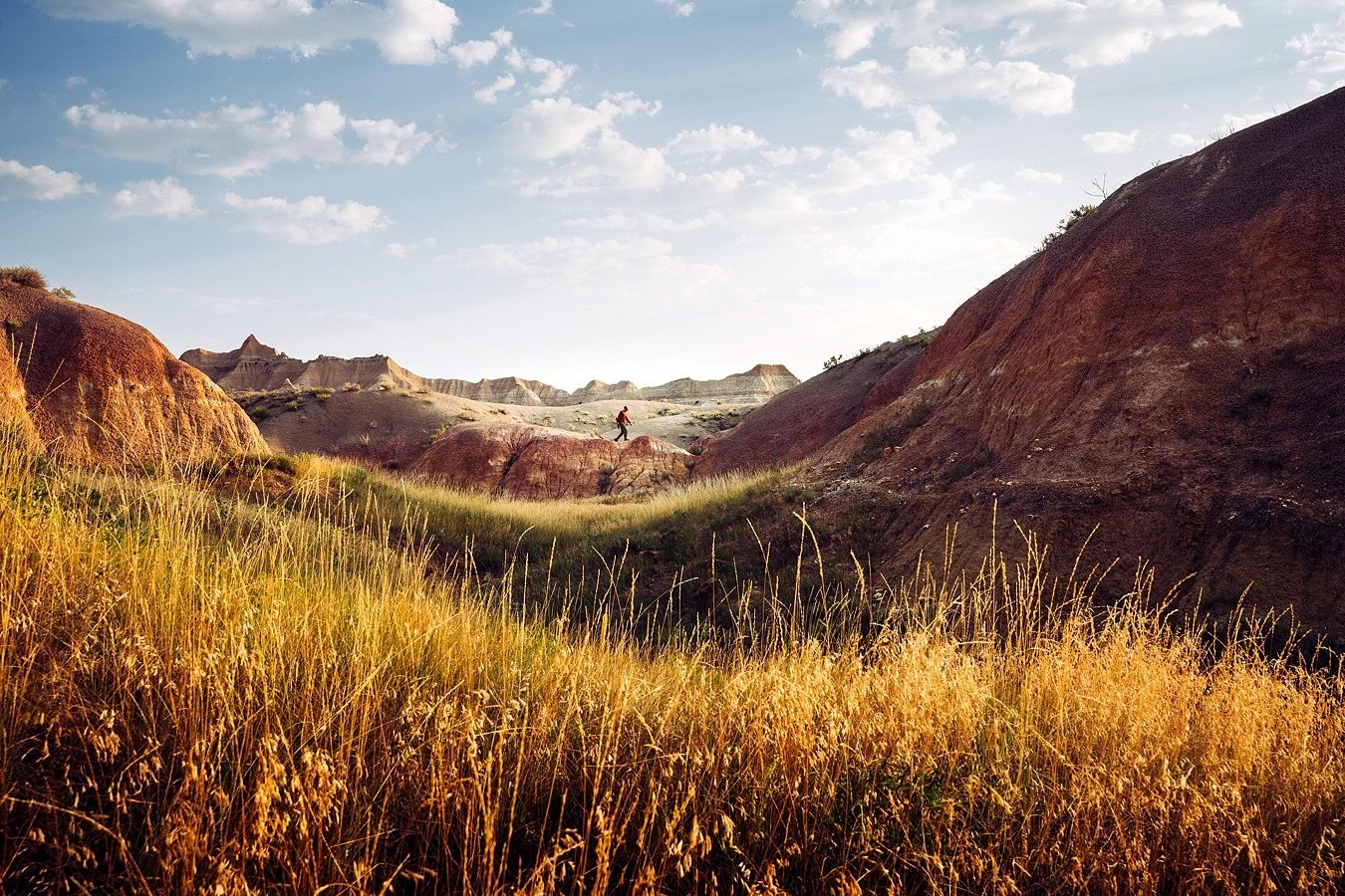 BADLANDS BADLANDS リマスタード & リローデッド Amazon.co.jp: BADLANDS: ミュージック