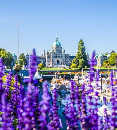 Inner Harbour Scenic Shot 2 (5).jpg