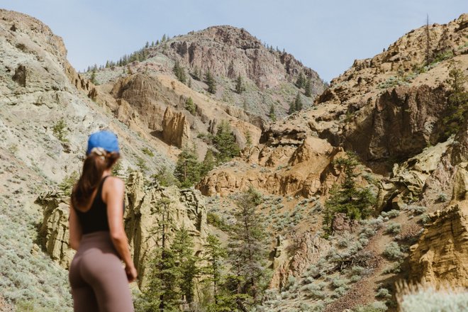 A hiker stands in a rugged landscape, gazing at towering, rocky mountains and lush greenery. The scene captures a serene outdoor adventure.