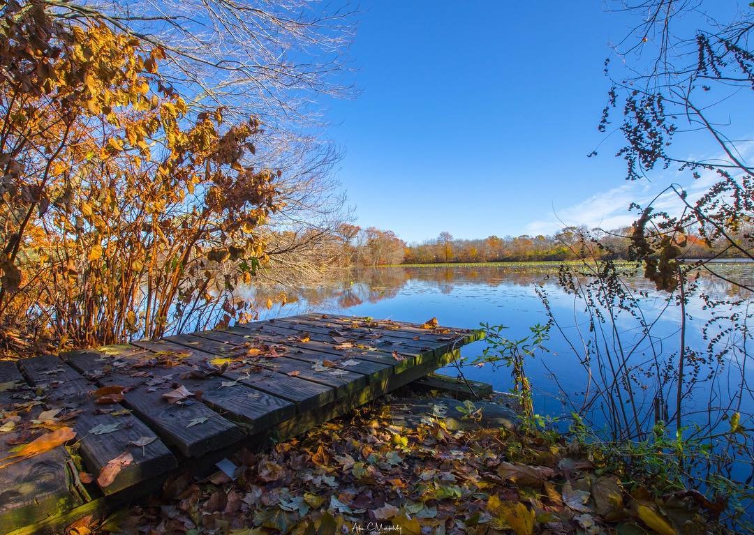 Twin Lakes in Wantagh LI.....................
•
•
•
•
 #longislandphotographer #longislandfeatures  #newyork #longisland #visualsoflife #visuals #photography #Photographer  #news12li #skylovers  #bluesky #waves #clouds  #ny  #iloveny  #sky #landscape #landscapephotography #foliage #leafs #fallenleaves #pier #water #reflection #reflectiongram #trees #lake #twinlakes #beautifulview