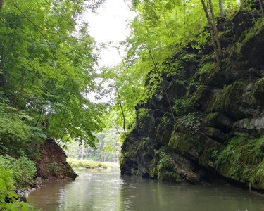 Lush green trees frame a serene river flowing between steep, moss-covered rock formations, creating a tranquil natural setting.