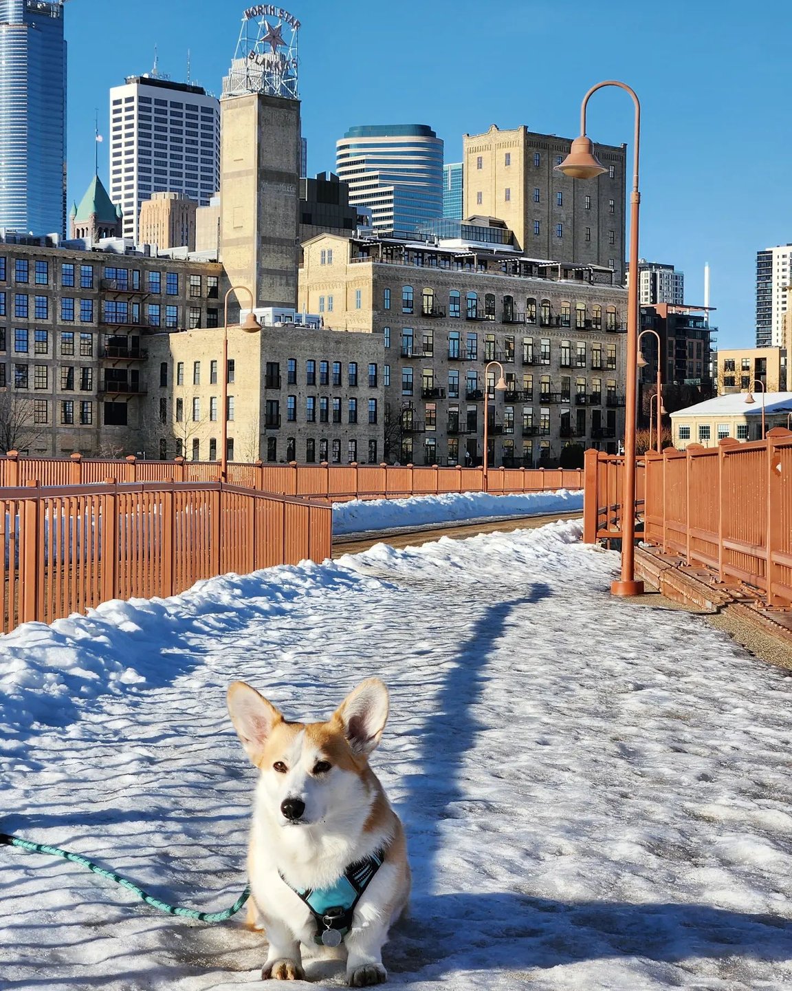 Winter Photos That Capture The Best of Minneapolis | Meet Minneapolis, image size:1152x1440