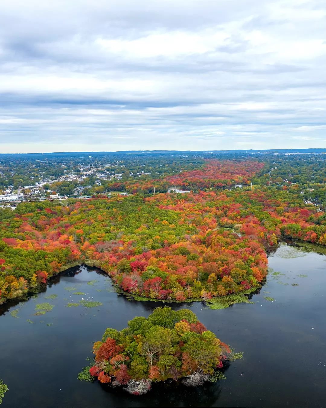"Any Colour you Like" 
Fall has finally shown up on Long Island
.
.
.
.
.
.
.
.
.
.
.
#djimavicpro2 #foilage #autumn #pinkfloyd
#fromwhereidrone #drone #djicreator
#droneglobe #dronesofearth #patchli #lipulse #longislandleisure #yesny #newyorkonly #earth_shotz #madewithlightroom #TLpicks #usaprimeshot #newyork_bestshots 
#longisland #newyork #artofvisuals #illgrammers #aerialphotography #droneoftheday #aerialphotography #milliondollarvisuals #dronephotography #djiglobal #droneofficial #dji