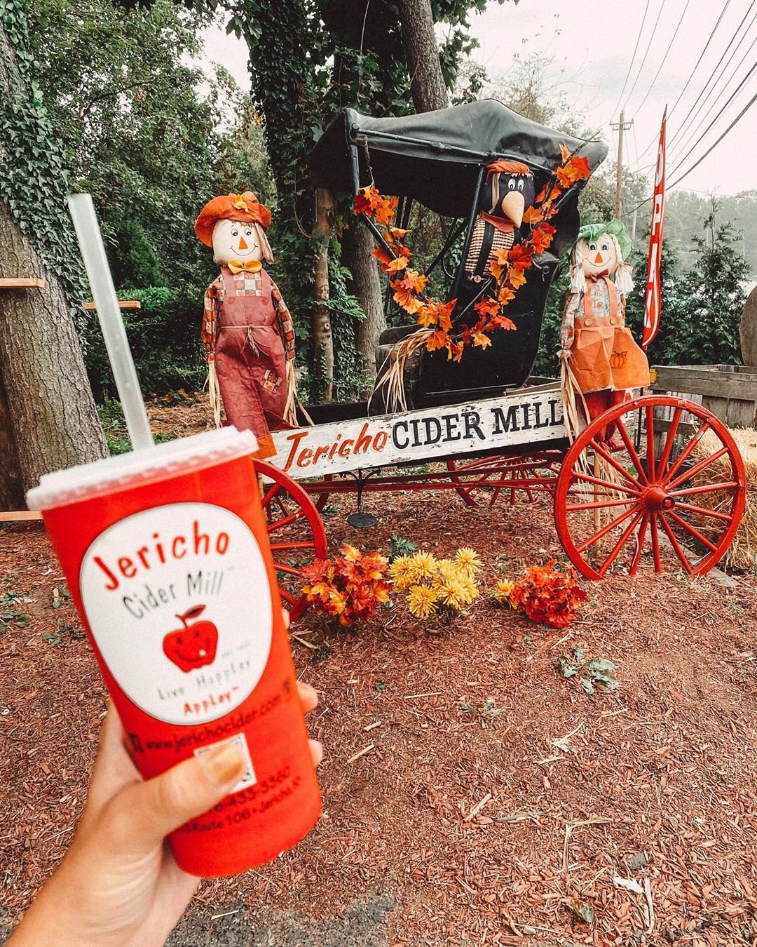 Peach apple cider slushie from @jerichocidermill ABSOLUTLEY delicious tangy all the frozen goodness! 
.
.
.
.
.
#longislandfoodie #longislandeats #lifoodie #fallfood #fall #jerichocidermill #frozendrinks #slushies #applecider #appleciderdonuts #peachapplecider #yummy #foodporn #foodie