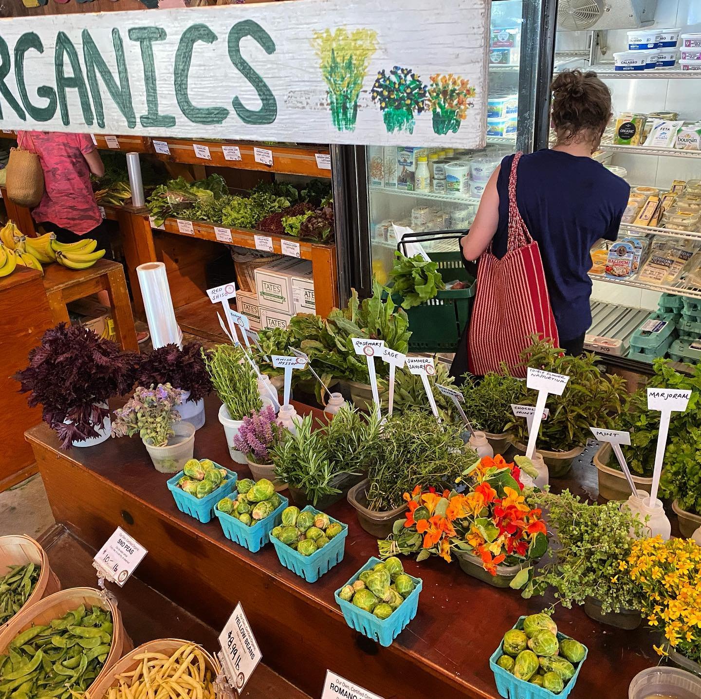 Love seeing what’s being picked at greenthumborganicfarm #southhampton #farm#fresh#produce#table#fresh#chef#made#nycateringservice#chefchrisnirschel#chrisnirschel