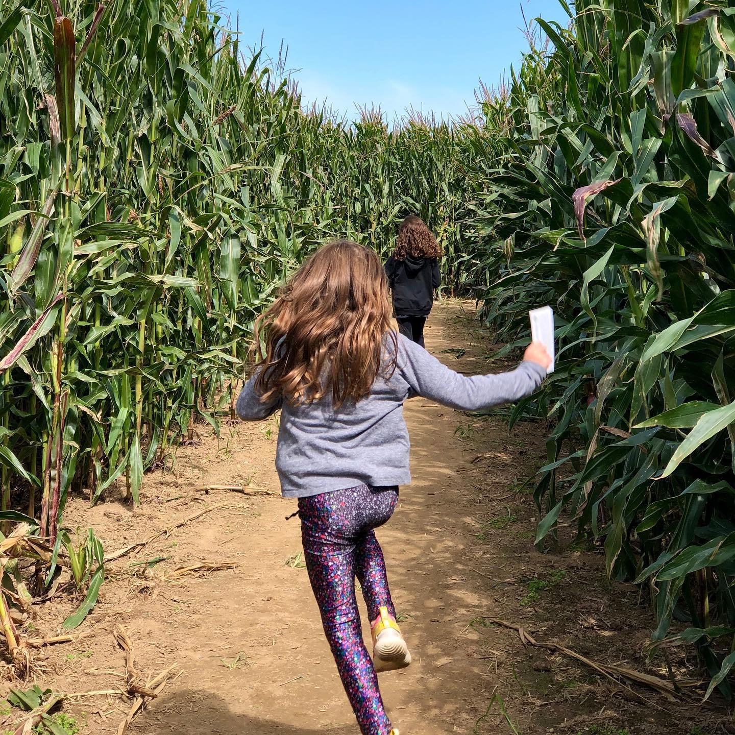 It’s that time of year again.  Took the first run of the season at the fairviewfarmatmecox corn maze, the kids’ FAVORITE fall activity.  Sped through in record time today, dramatically beating 2019’s inaugural two hour tour, which ended in rescue.  Here’s to the things that work out better in 2020!!!