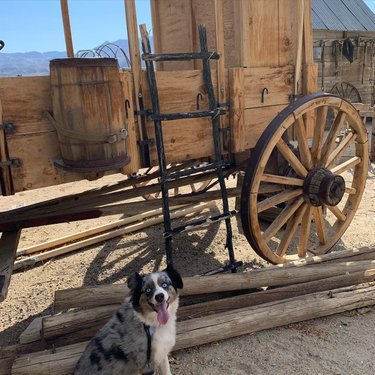 Dyer, NV | Fish Lake Valley | Esmeralda County | Travel Nevada