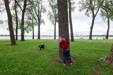 Lake Manawa State Park photo 3