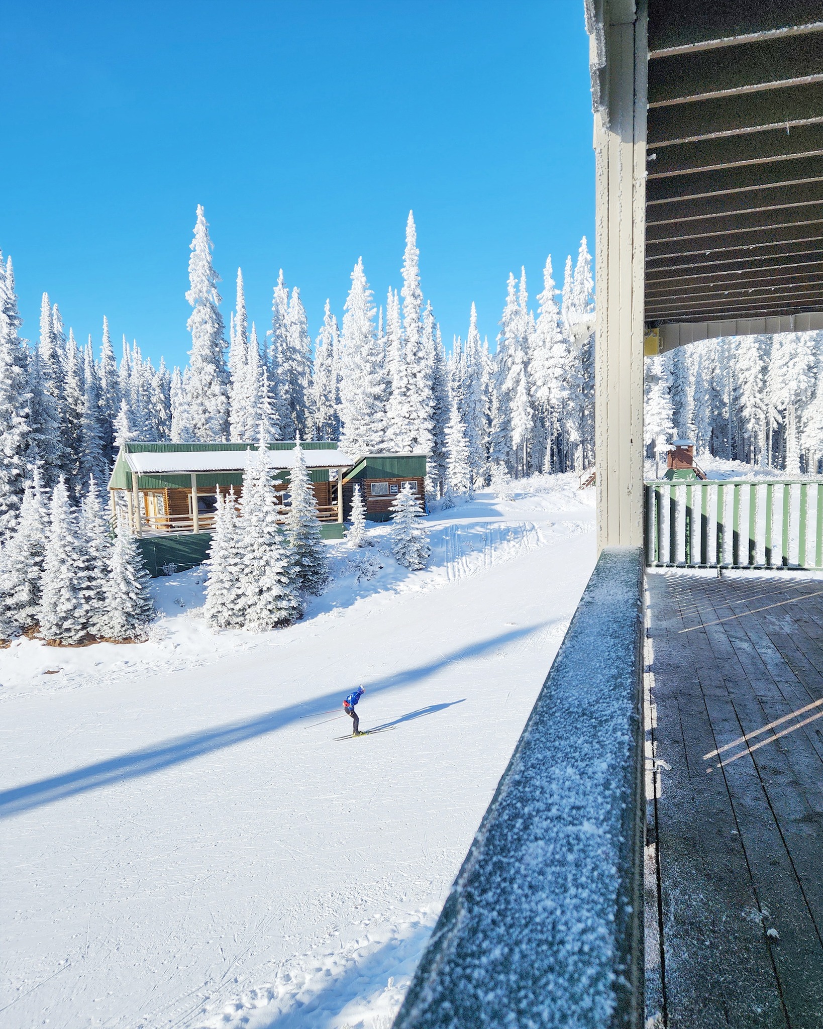 photo by #MySovereign caption reads: Beautiful blue bird afternoon today! We're over joyed to see many teams and groups out training.  Happy to announce there's snow in the forecast starting Friday! ❄️☃️

#xcski #crosscountryski #mysovereign #vernonbc #canadasplayground #okanagan #britishcolumbia #explorebc #silverstar #sovereignlake #nordicski #biathlon